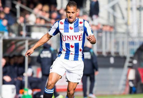 这种多样性 这种多样性